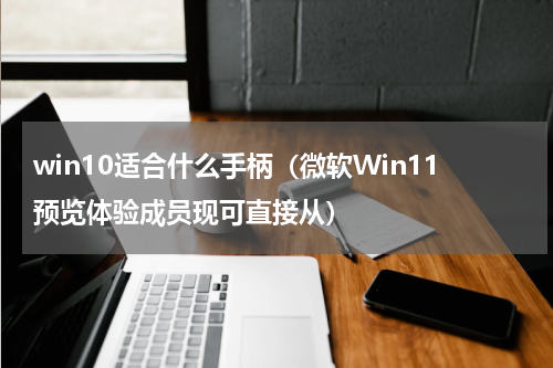 win10适合什么手柄（微软Win11预览体验成员现可直接从）