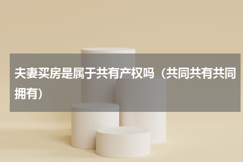 夫妻买房是属于共有产权吗（共同共有共同拥有）