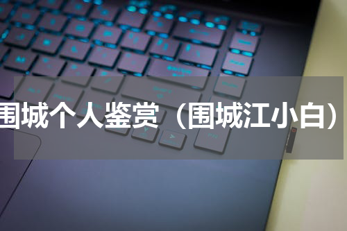 围城个人鉴赏（围城江小白）