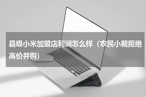 县级小米加盟店利润怎么样（农民小戴拒绝高价并购）