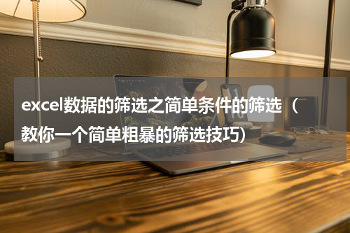 excel数据的筛选之简单条件的筛选（教你一个简单粗暴的筛选技巧）