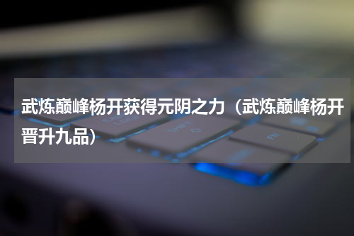 武炼巅峰杨开获得元阴之力（武炼巅峰杨开晋升九品）