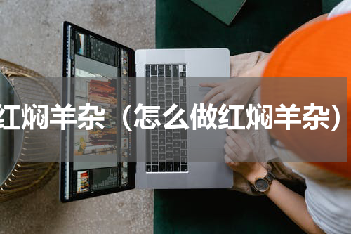 红焖羊杂（怎么做红焖羊杂）