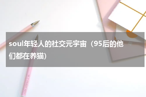 soul年轻人的社交元宇宙（95后的他们都在养猫）
