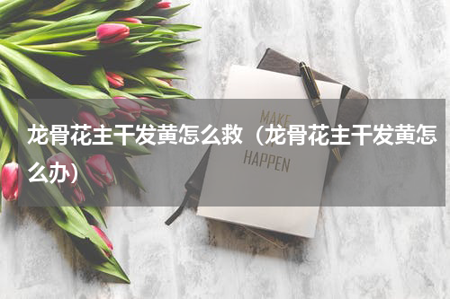 龙骨花主干发黄怎么救（龙骨花主干发黄怎么办）