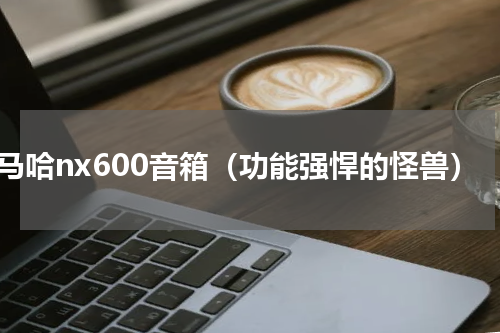 雅马哈nx600音箱（功能强悍的怪兽）