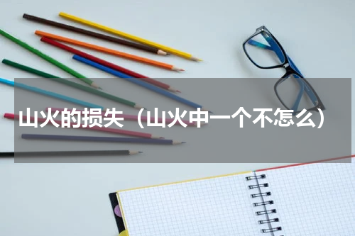 山火的损失（山火中一个不怎么）
