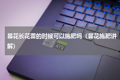 昙花长花蕾的时候可以施肥吗（昙花施肥讲解）