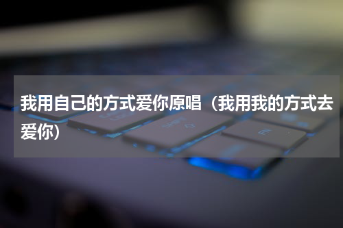 我用自己的方式爱你原唱（我用我的方式去爱你）