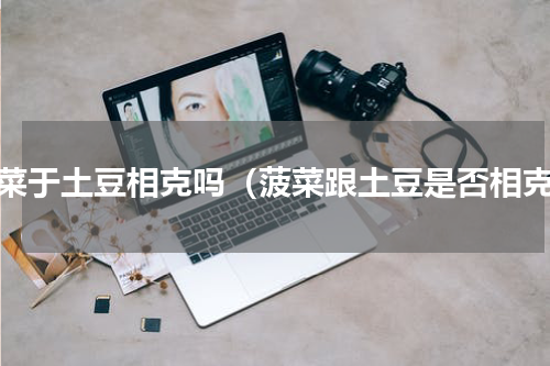 菠菜于土豆相克吗（菠菜跟土豆是否相克）
