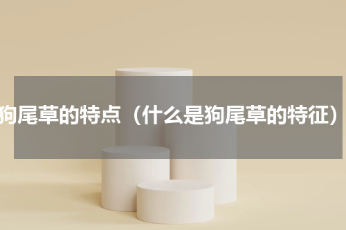 狗尾草的特点（什么是狗尾草的特征）