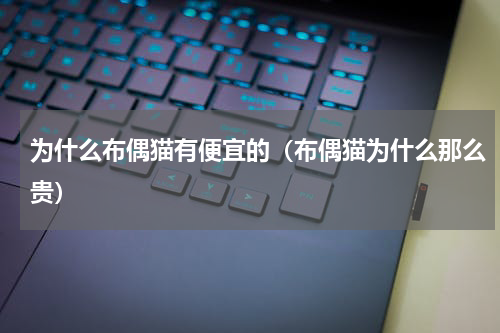 为什么布偶猫有便宜的（布偶猫为什么那么贵）