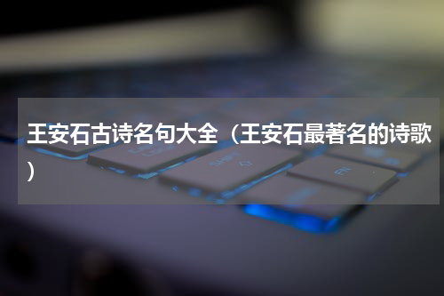 王安石古诗名句大全（王安石最著名的诗歌）
