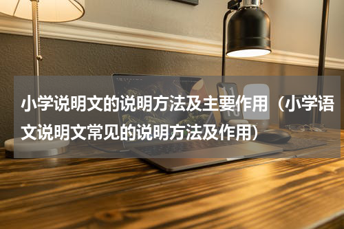 小学说明文的说明方法及主要作用（小学语文说明文常见的说明方法及作用）