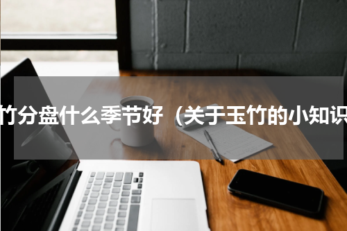 玉竹分盘什么季节好（关于玉竹的小知识）