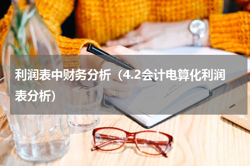 利润表中财务分析（4.2会计电算化利润表分析）