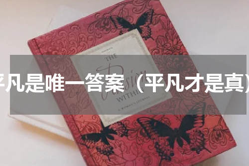 平凡是唯一答案（平凡才是真）