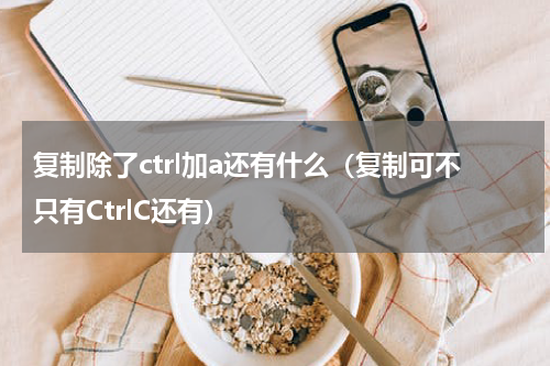 复制除了ctrl加a还有什么（复制可不只有CtrlC还有）