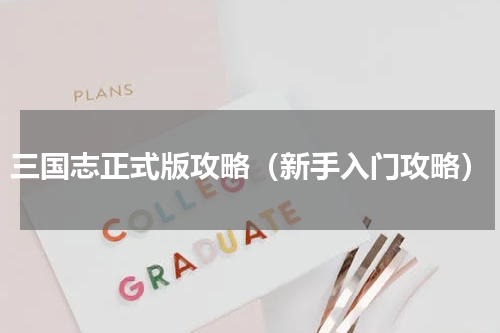三国志正式版攻略（新手入门攻略）