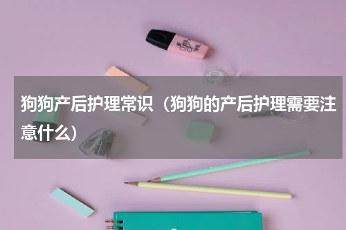 狗狗产后护理常识（狗狗的产后护理需要注意什么）