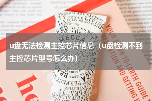 u盘无法检测主控芯片信息（u盘检测不到主控芯片型号怎么办）