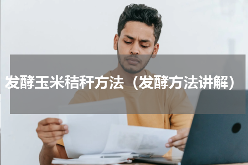发酵玉米秸秆方法（发酵方法讲解）