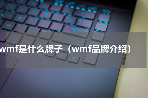 wmf是什么牌子（wmf品牌介绍）