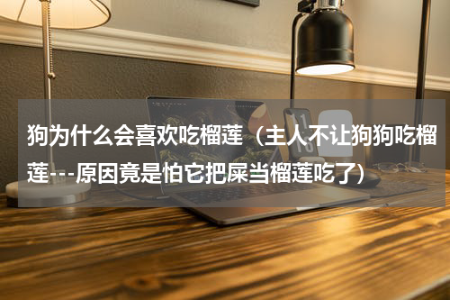 狗为什么会喜欢吃榴莲（主人不让狗狗吃榴莲---原因竟是怕它把屎当榴莲吃了）