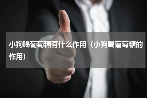 小狗喝葡萄糖有什么作用（小狗喝葡萄糖的作用）
