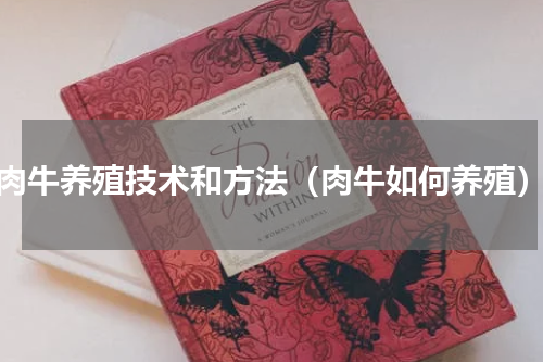 肉牛养殖技术和方法（肉牛如何养殖）