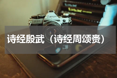 诗经殷武（诗经周颂赉）