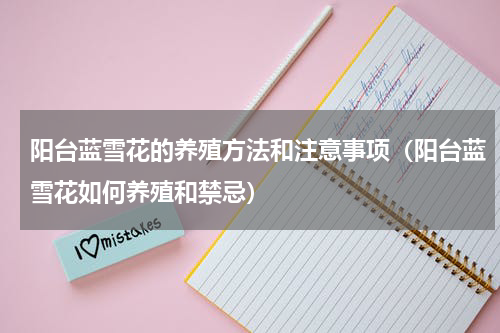 阳台蓝雪花的养殖方法和注意事项（阳台蓝雪花如何养殖和禁忌）