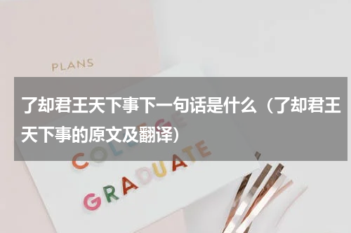 了却君王天下事下一句话是什么（了却君王天下事的原文及翻译）