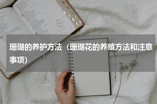 珊瑚的养护方法（珊瑚花的养殖方法和注意事项）