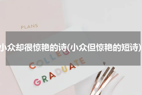 很小众却很惊艳的诗(小众但惊艳的短诗)