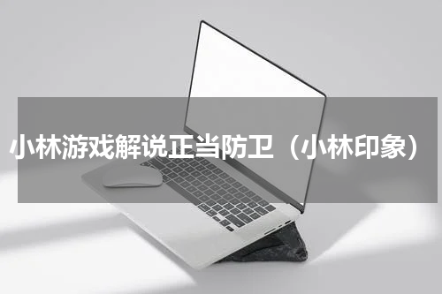 小林游戏解说正当防卫（小林印象）