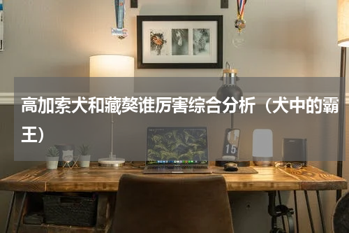 高加索犬和藏獒谁厉害综合分析（犬中的霸王）