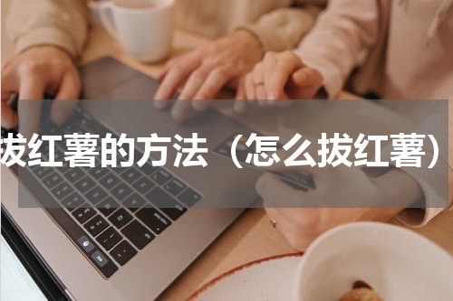 拔红薯的方法（怎么拔红薯）
