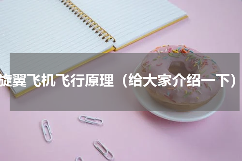 旋翼飞机飞行原理（给大家介绍一下）