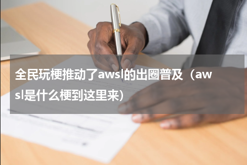 全民玩梗推动了awsl的出圈普及（awsl是什么梗到这里来）