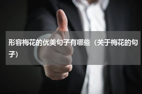 形容梅花的优美句子有哪些（关于梅花的句子）