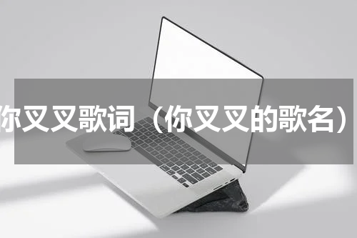 你叉叉歌词（你叉叉的歌名）