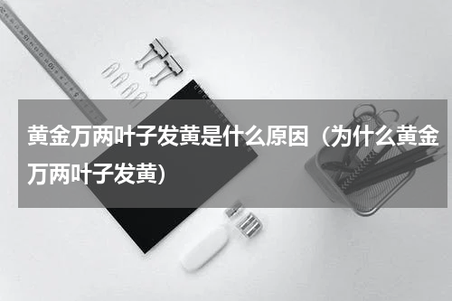 黄金万两叶子发黄是什么原因（为什么黄金万两叶子发黄）