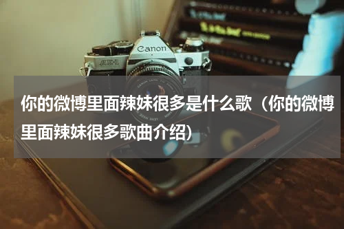 你的微博里面辣妹很多是什么歌（你的微博里面辣妹很多歌曲介绍）