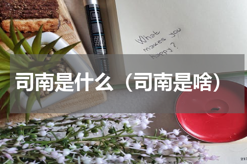 司南是什么（司南是啥）