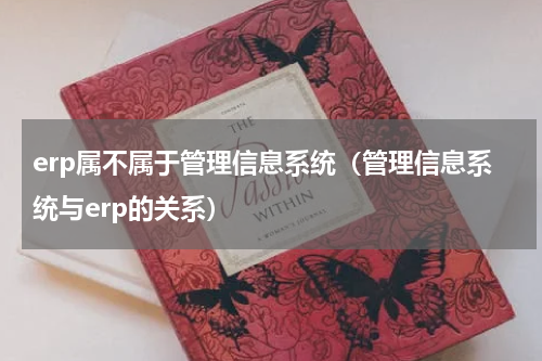 erp属不属于管理信息系统（管理信息系统与erp的关系）