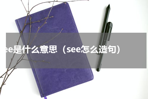 see是什么意思（see怎么造句）