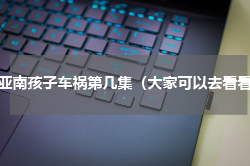 石亚南孩子车祸第几集（大家可以去看看）