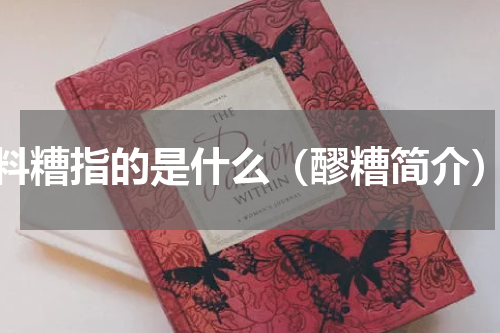 料糟指的是什么（醪糟简介）