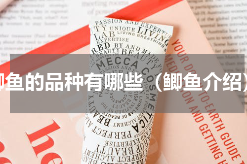 鲫鱼的品种有哪些（鲫鱼介绍）